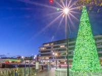 00ec37e7-2031-9426-a5b8-e941c4bd696e