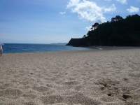Blackpool Sands blog