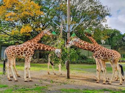 Paignton Zoological Park