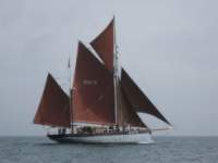 Vigilance of Brixham