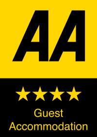 aa logo2