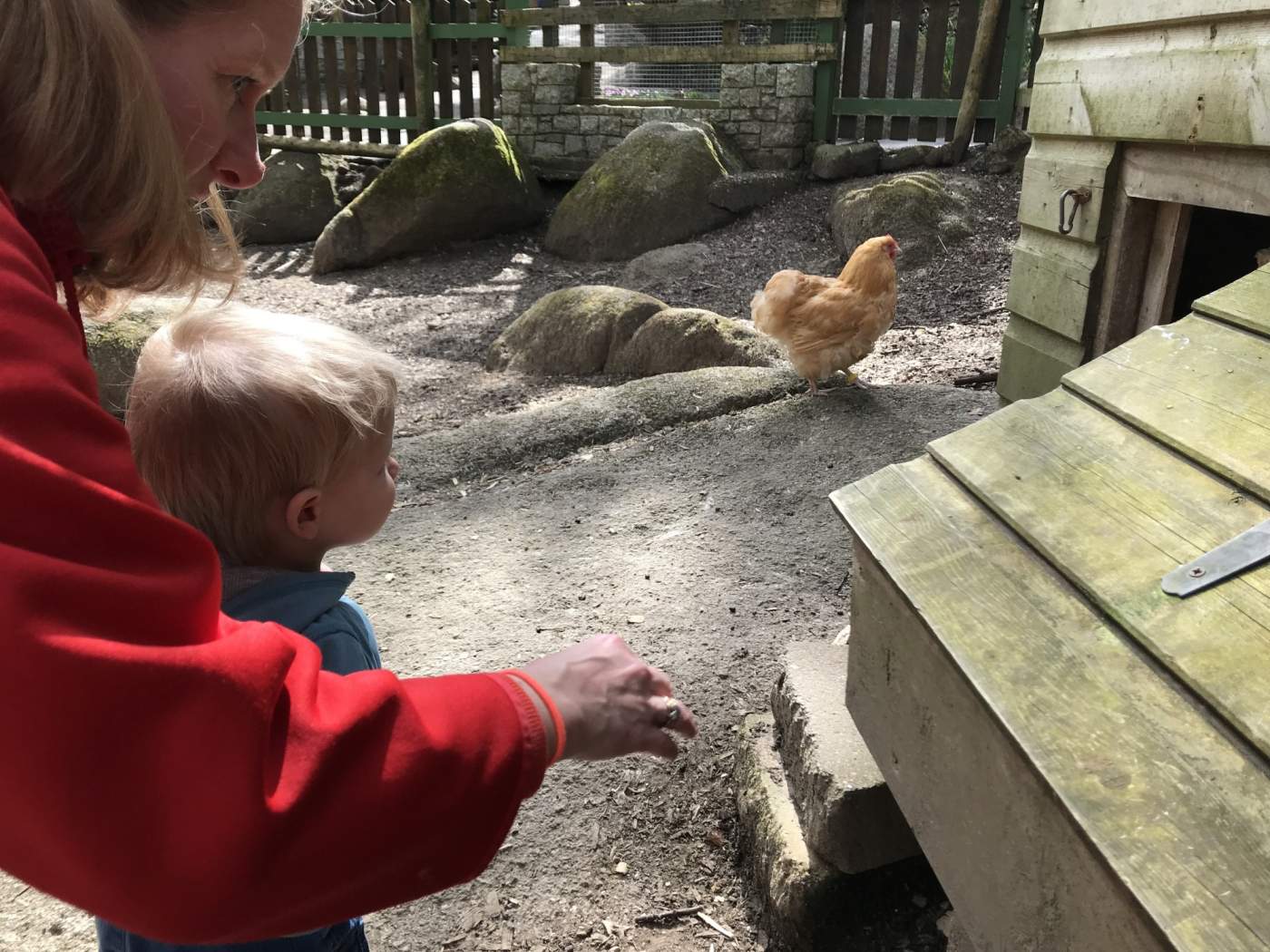 Becky Falls, Dartmoor National Park, Devon, 3