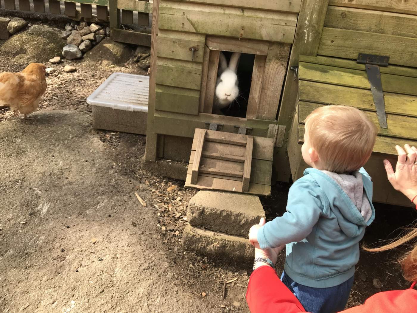 Becky Falls, Dartmoor National Park, Devon, 1