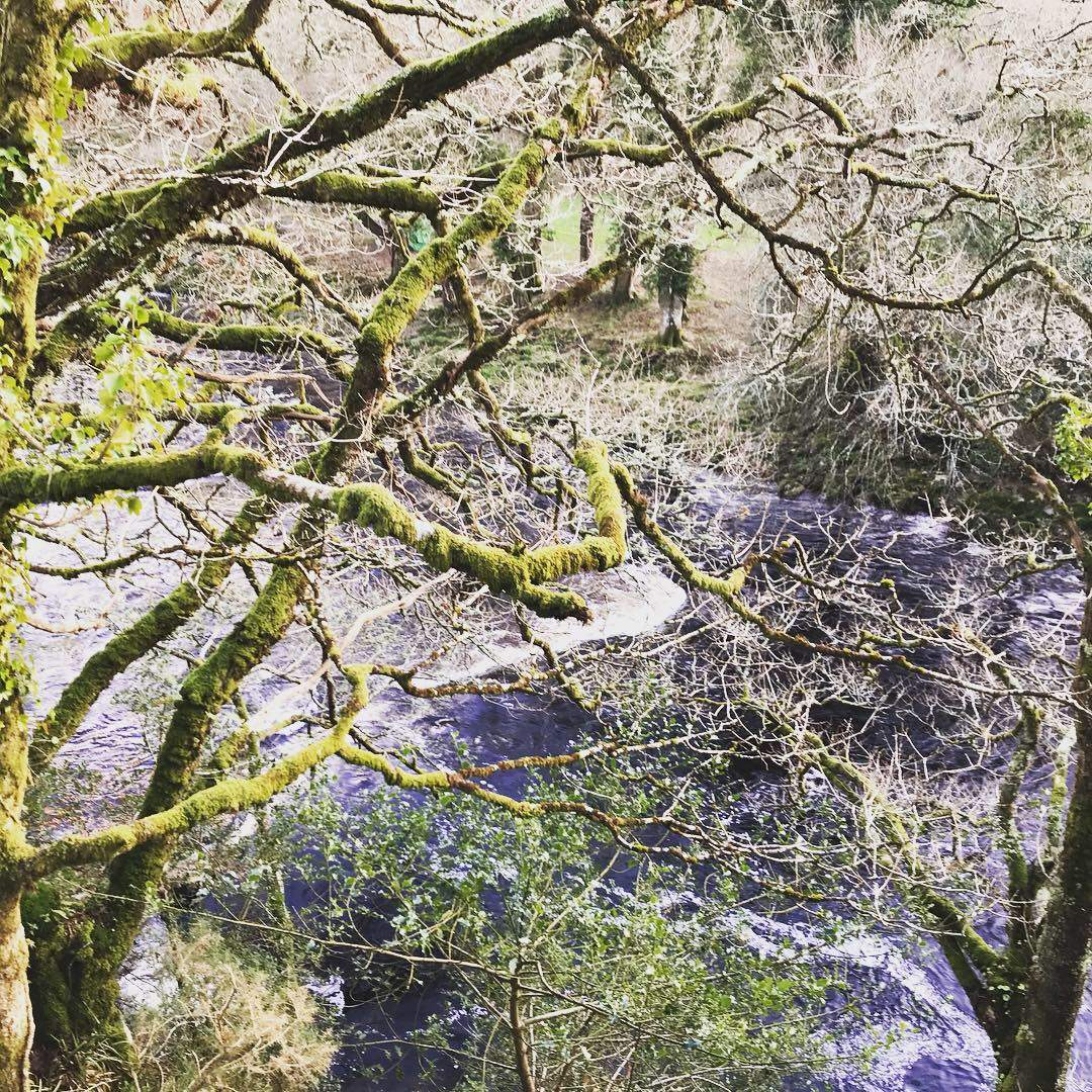 Spitchwick, Dartmoor 5