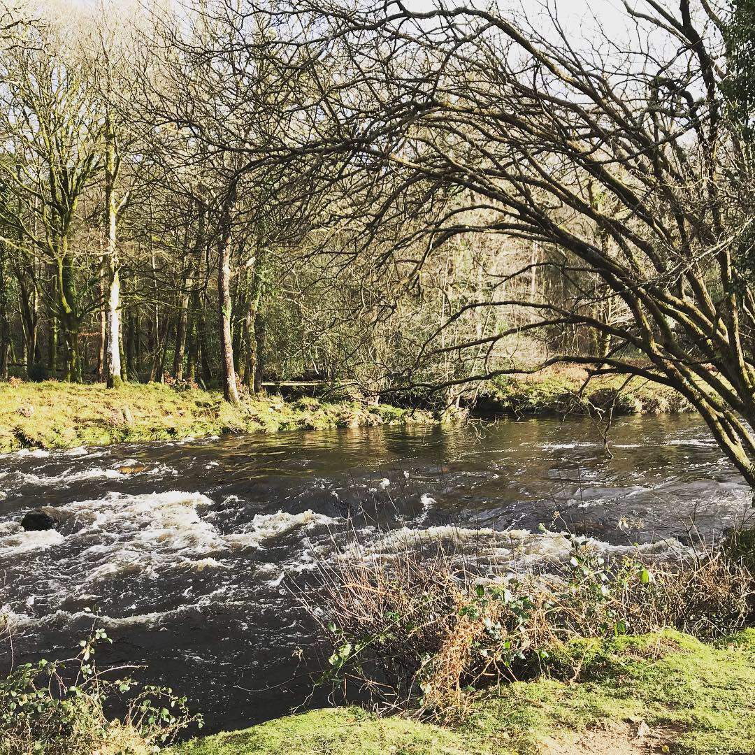 Spitchwick, Dartmoor 2