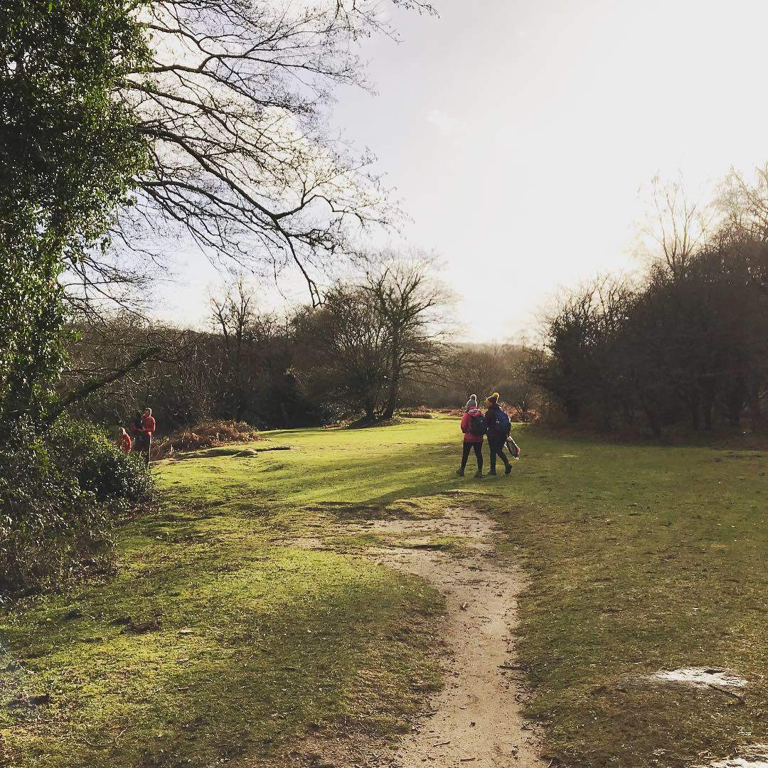 Spitchwick, Dartmoor 1