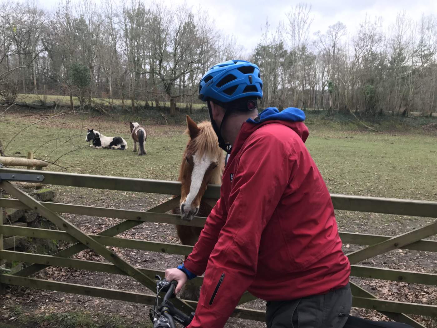 Cycling from Newton Abbot to Bovey Tracey 7