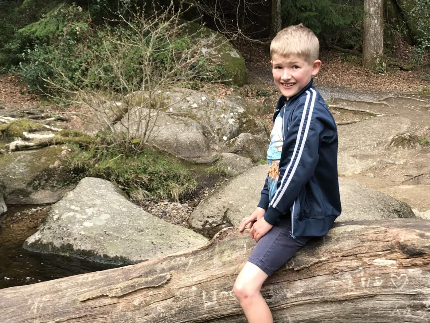 Becky Falls, Dartmoor National Park, Devon, 4