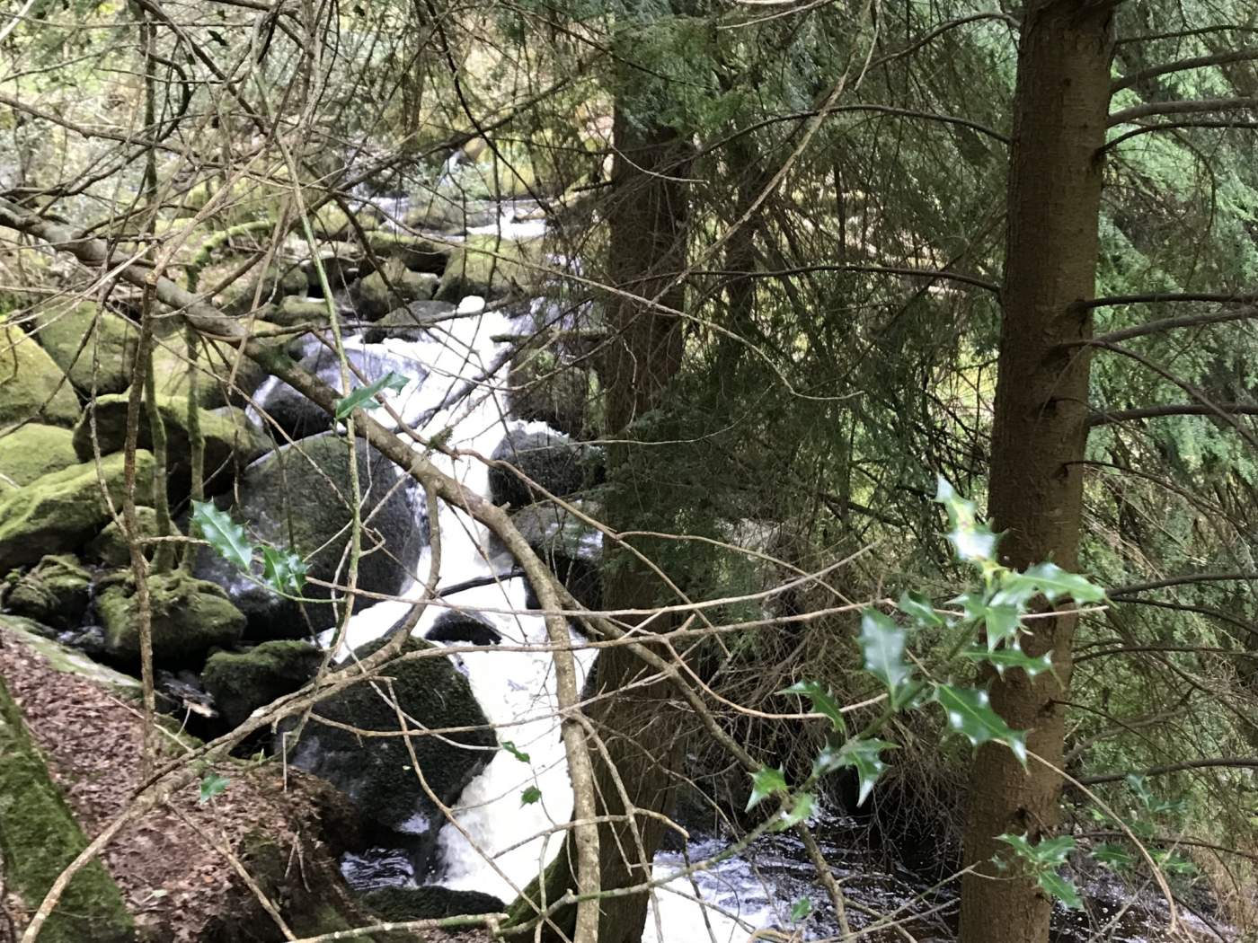 Becky Falls, Dartmoor National Park, Devon, 5